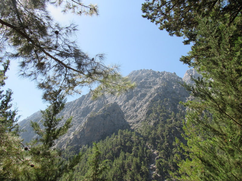 The view at the beginning of the trail.