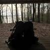 View of the lake from shelter number 1 off mile 6 of the Cane Creek Trail.