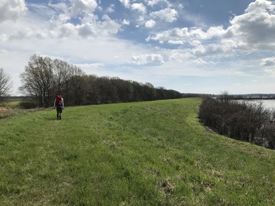 The levee section is quite exposed and monotonous but with a lot of wood ducks, coots, and other waterbirds along the lake.