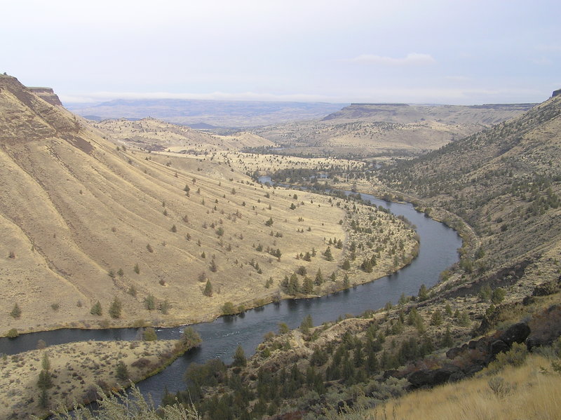 Deschutes River as it flows through Trout Creek Recreation Area (11-07-2017)