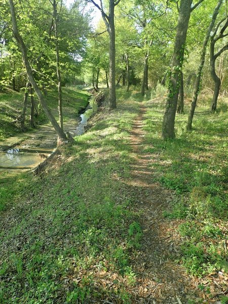 Malsbury Trail alongside Turkey Creek.