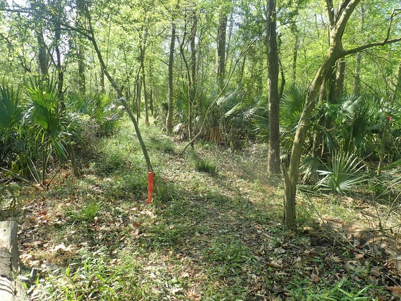 The south end of Malsbury. There is an orange stake to help you not miss the turn, as well as rope wrapped around 2 trees. Go straight/south 550 feet and you're at Banzai pipeline. Turn right and you're headed for Bauer Trail. GPS: 29.81982, -95.58898