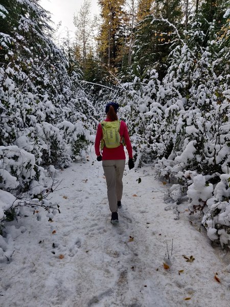 Part of the Sullivan Creek Trail in early winter.