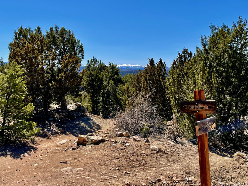 Sangre de Cristo Range from Anticline Trail.