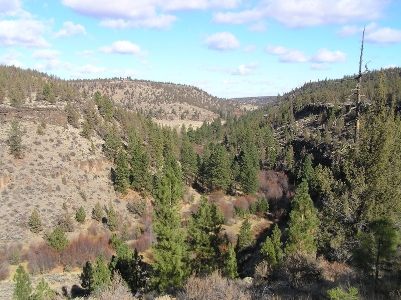 Whychus Canyon from Rim Trail (11-06-2018)