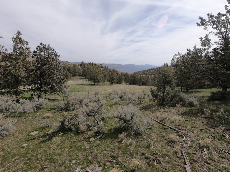 View east from in front of Pat's Cabin (4-2-2021)