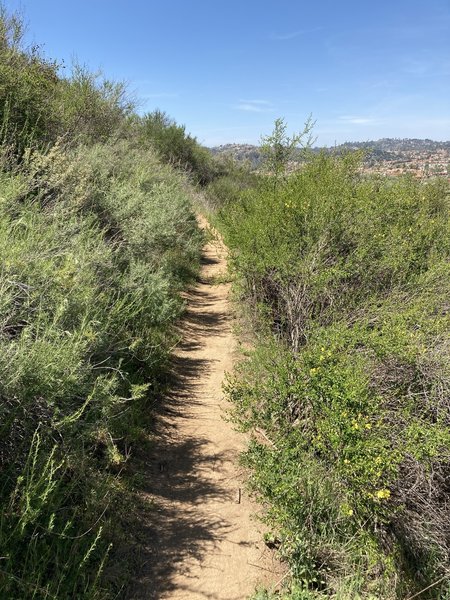 Heading west on upper trail.