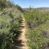 Heading west on upper trail.