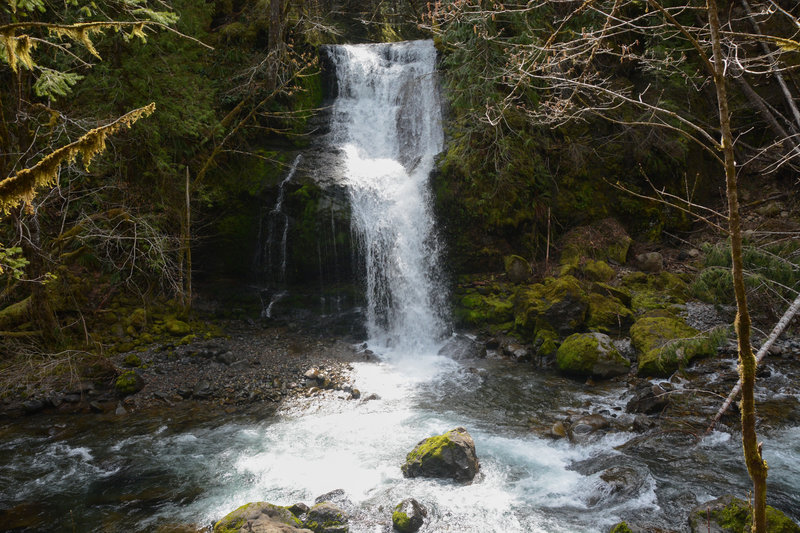 Steep Creek Falls is clearly viewable from the road.