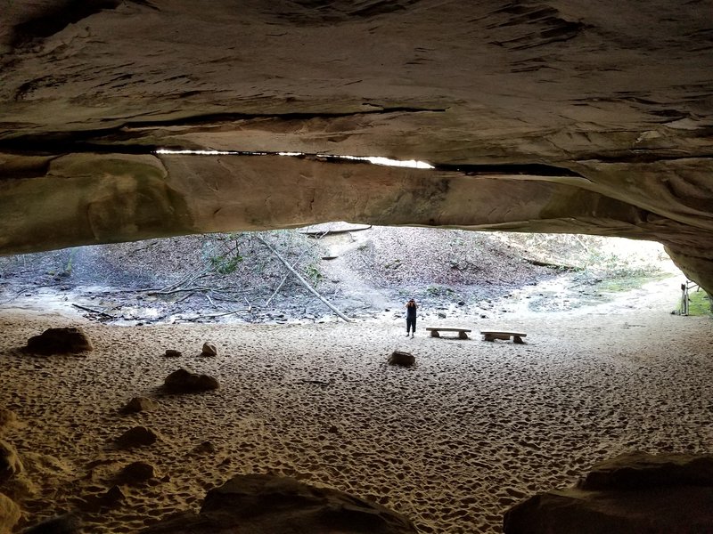 A view from inside Hazard Cave looking out.