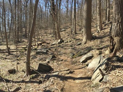 Boyce Run