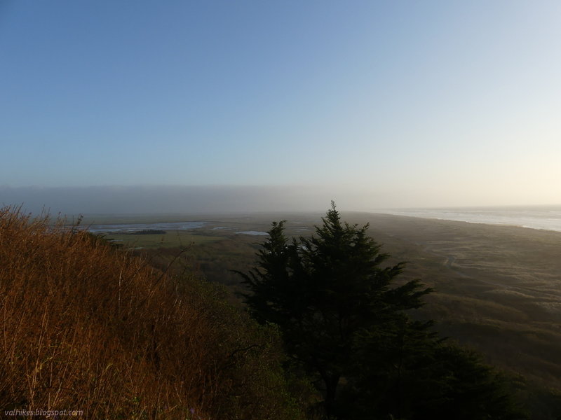 Eel River Wildlife Area, Ocean Ranch Unit from Table Bluff.