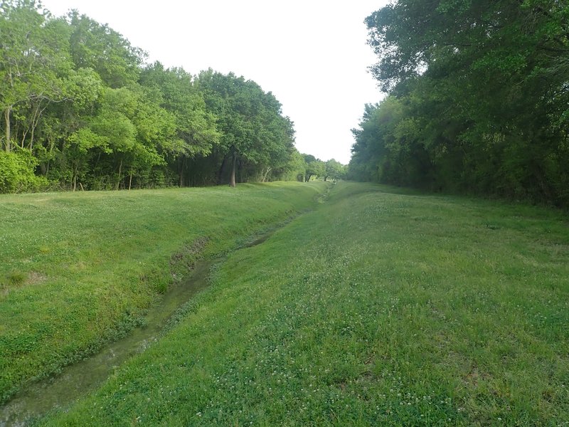 The woods-lined creek banks.