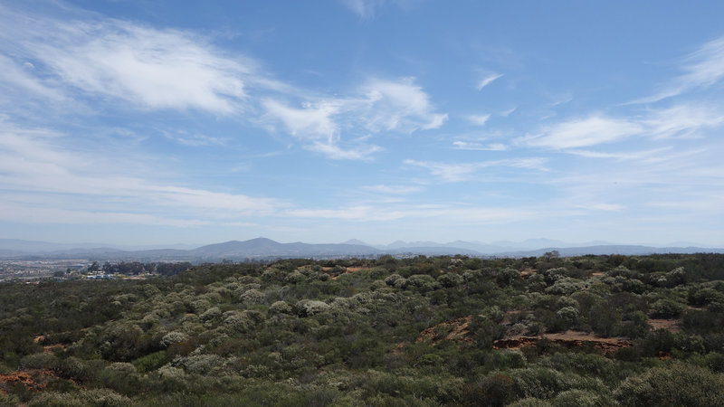 View northeast from the Clews Ranch Rim trail towards Black Mountain.