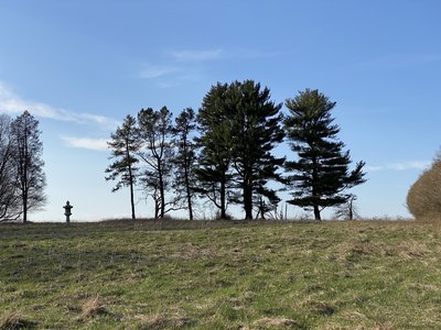 Beautiful Sunday afternoon at Merestead.