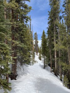 Burro Trail in late spring. About 2 miles in.