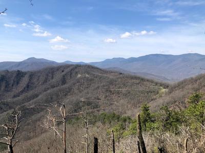 Looking back at Blue Ridge parking area.