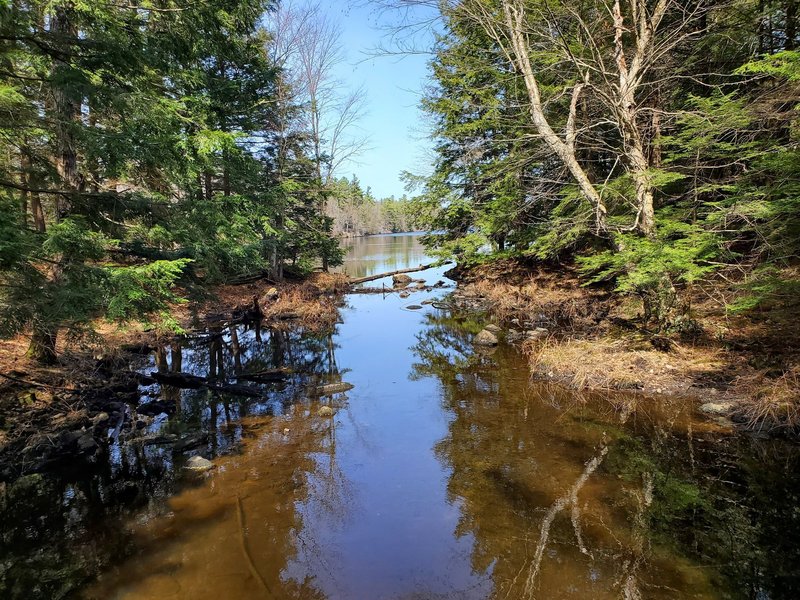 View of Beaver Lake from bridge