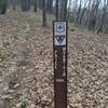 Broad Mountain Trail marker (if you head northeast on the trail from the gravel parking area).