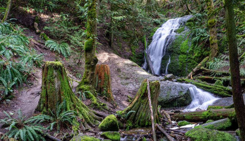 Coal Creek Falls from the bridge.