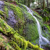 The mossy Doughtry Falls, just off the trail.