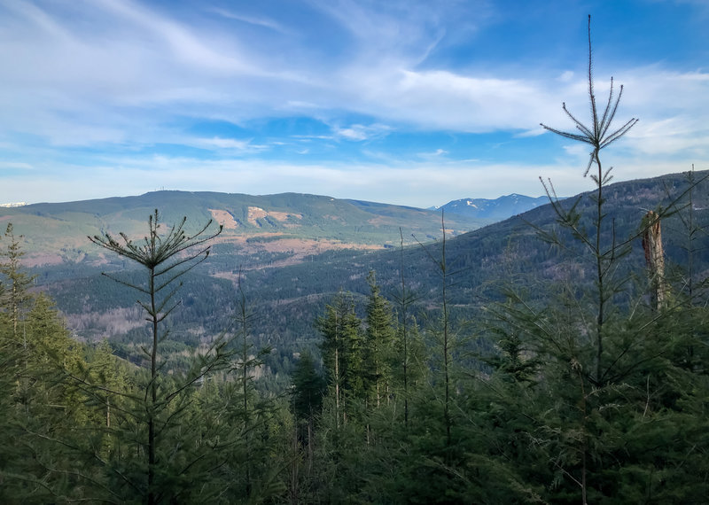 Views of the distant mountains from the clearcut area.