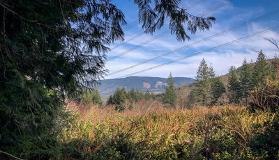 An opening in the forest with views of distant hills.