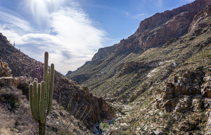 Looking down Bear Canyon from Seven Falls.