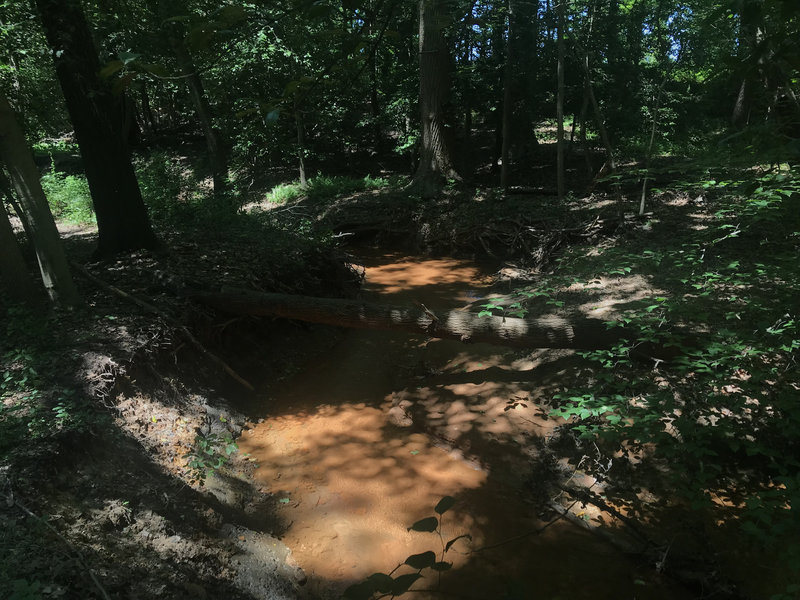 Stream next to trail.