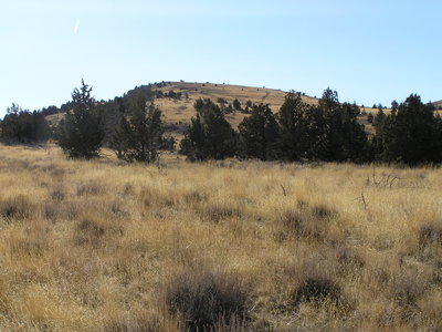 Saddle along trail just below final uphill section to Sutton Mountain summit (11-14-2017)