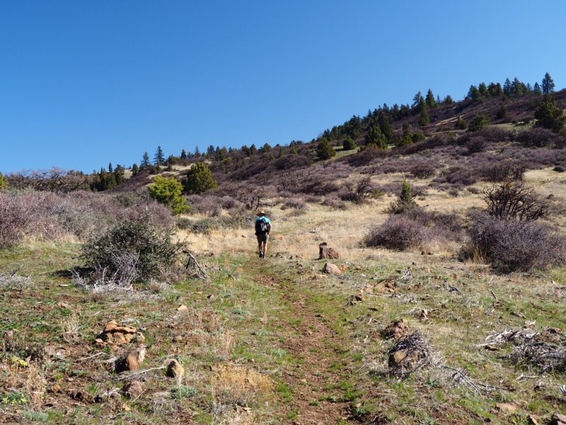 On the trail with Rhyolite Ridge in the distance.