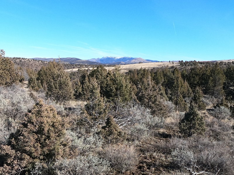 View east towards Baldy Mountain from Sutton Mountain plateau (2-12-2020)