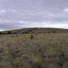 Looking southeast from plateau towards Sutton Mountain summit.