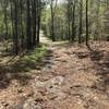 The trail begins as an access road with large gravel pieces. Watch your footing as the gravel tends to roll underfoot.