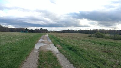 Bridal Trail field