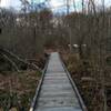 Bog boardwalk