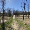 Foot bridge for the Old Barn Trail going over the inlet of the lake.