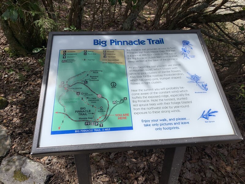 Park sign of Big Pinnacle Trail at the trailhead with some plant information provided.