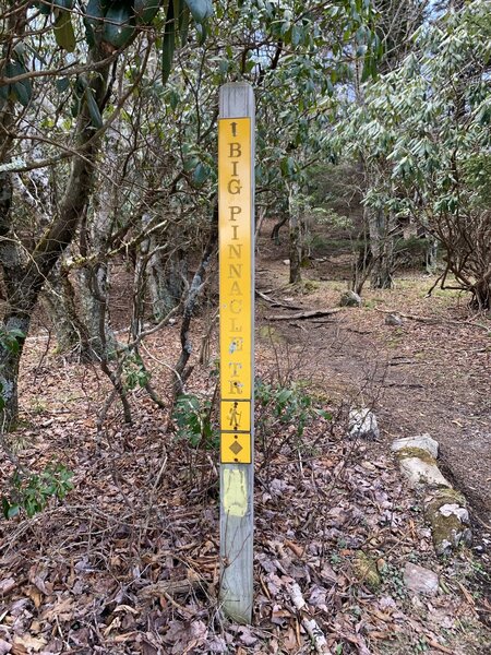 Trailhead sign for Big Pinnacle Trail with yellow blaze.