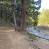 The trail meandering past Sly Park Creek.