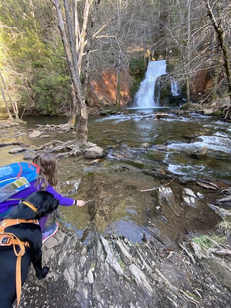 The waterfall and pool in April 2021 - kid and dog approved.