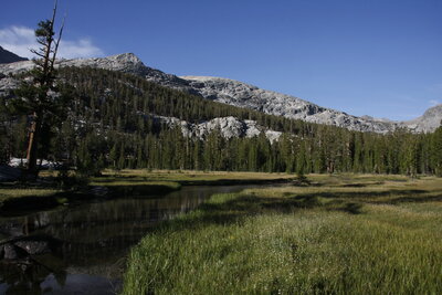 Meadow just south of Colby Pass.