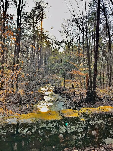 Laurel Brook from the park's stone arch bridge.