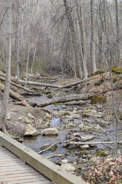 Easy, wide trails, lots of streams and natural woods.