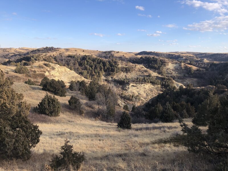 View from Summit Viewpoint Trail