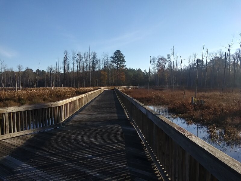 Marsh in winter