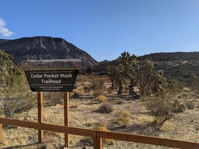 Beginning of Cedar Pocket Wash