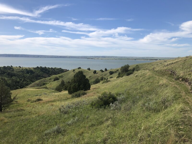 A view near the start of the Birnt Hills Trail.