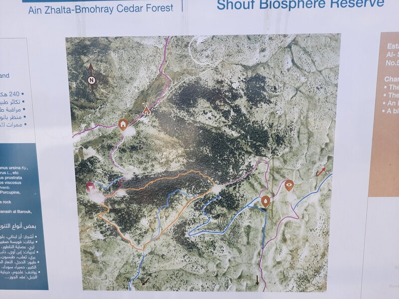 Map of trails