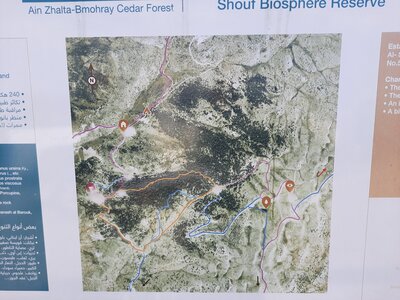 Map of trails